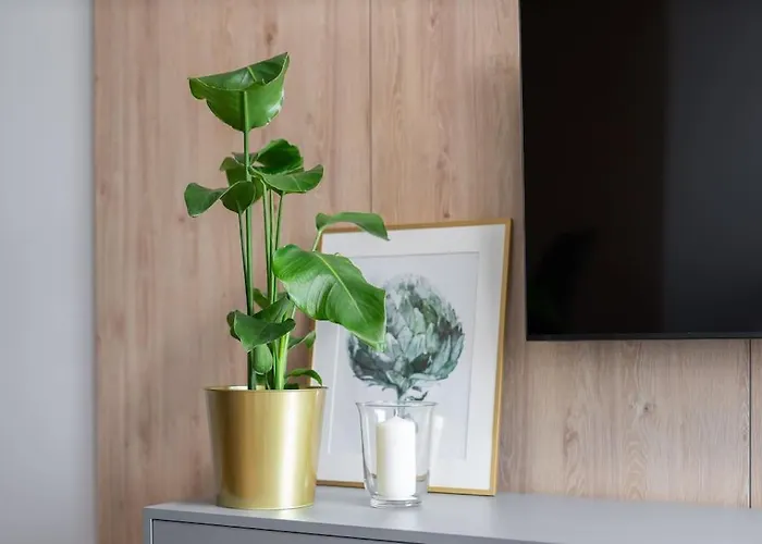 Echo Nowe Jezyce דירה *