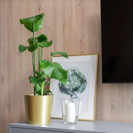 Echo Nowe Jezyce Apartment *