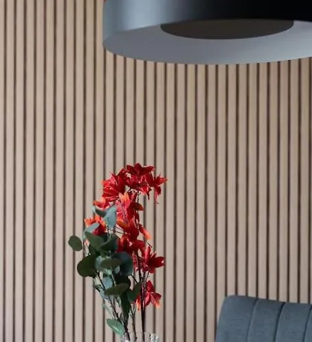 Apartamento Echo Nowe Jezyce *